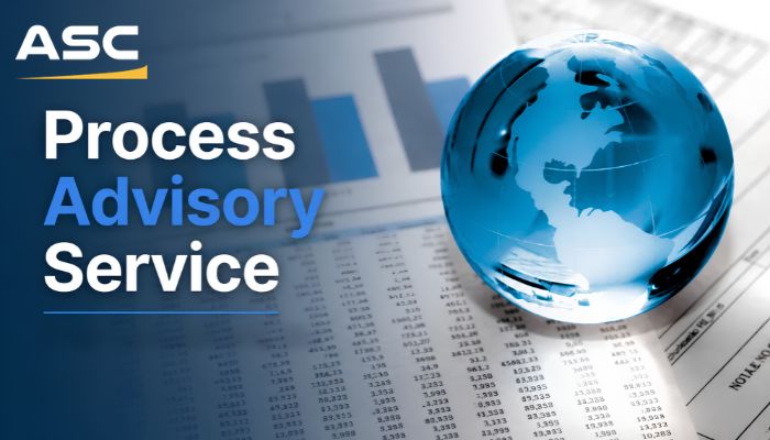 Process Advisory Service